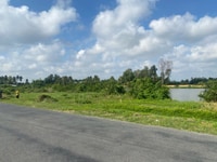 Bán gấp 1400m2 đất nông nghiệp ấp bình xuân thị xã gò công Bán gấp 1400m2 đất nông nghiệp ấp bình xuân thị xã gò công