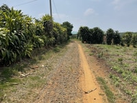 Đất thôn Tứ Quý xã Lộc An huyện Bảo Lâm Lâm Đồng Đất thôn Tứ Quý xã Lộc An huyện Bảo Lâm Lâm Đồng