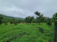 1000m2, (100m thổ cư) gần tt Bảo Lộc, đường nhựa 8m, shr, giá 1tr1/m2 1000m2, (100m thổ cư) gần tt Bảo Lộc, đường nhựa 8m, shr, giá 1tr1/m2