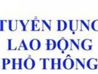 Tuyển lao động Nam nữ bán hàng, tạp vụ, giao hàng Tuyển lao động Nam nữ bán hàng, tạp vụ, giao hàng