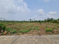 Bán Đất 5000m2, Đường Ô tô, Sông Ray, Cẩm Mỹ, Đồng Nai Bán Đất 5000m2, Đường Ô tô, Sông Ray, Cẩm Mỹ, Đồng Nai