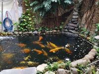 Bán gấp nhà căn góc 2 mặt tiền Nguyễn Cảnh Trân, DT: 18x10m, Giá 33 tỷ Bán gấp nhà căn góc 2 mặt tiền Nguyễn Cảnh Trân, DT: 18x10m, Giá 33 tỷ