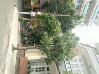 Nhà xe hơi đậu hẻm, 368m2, Sư Vạn Hạnh, Quận 10 Nhà xe hơi đậu hẻm, 368m2, Sư Vạn Hạnh, Quận 10