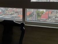 Cần bán Topaz City tầng thấp mặt tiền đường lớn tiện đi lại. Cần bán Topaz City tầng thấp mặt tiền đường lớn tiện đi lại.