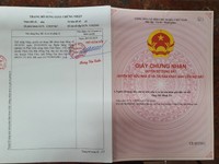 Cần bán gấp lô đất rừng sản xuất ở Vĩnh Cửu, Đồng Nai