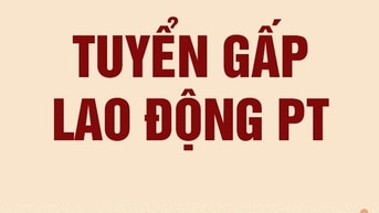 Tuyển nữ lao động phổ thông, 18-35 tuổi,  lương cao