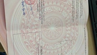 BÁN LÔ ĐẤT THỔ CƯ cách QL 50 100m Xã Thạnh Nhựt, Gò Công Tây 