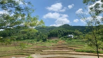 Lỗ quá lỗ mảnh đất đẹp cần bán cắt lỗ 1400m Tại Tân Lạc Hoà Bình giá c