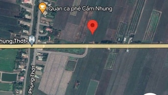 Bán 11812m có 4286m thổ cư đường N2.nhơn ninh,tân thạnh,Long An.