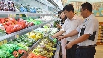 TUYỂN 6 NAM/NỮ LĐPT BÁN HÀNG ĐÓNG GÓI BAO BÌ SẢN PHẨM LÀM LÂU DÀI