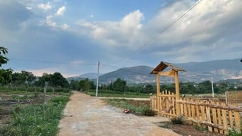 Bán lô đất sát nhựa đối diện cổng thôn Tầm Xá xã Đông Thanh giá 650 tr