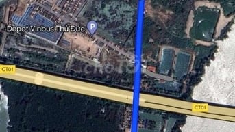 1,2ha đất, 2MT đường xt, cách đường Tam Đa 200m, Long Trường, TD