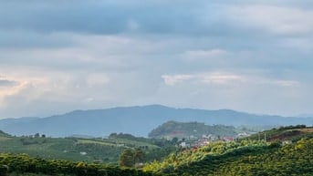 Bán hơn 400m2 đất vị trí trung tâm xã Nam Hà, sát đường nhựa DH93