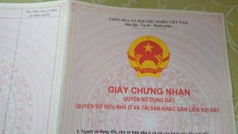 Chính chủ bán nhà phân lô. Số 21,ngách 15,ngõ 36 phố Đào Tấn,Ba Đình