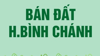 Bán 2300m2 đất mặt tiền nhựa 5m tại Xã Phong Phú, Huyện Bình Chánh