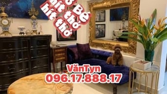 🌈 Q3 LÊ VĂN SỸ 45m2 .Kết Cấu Đẹp Sẵn Trệt 2Lầu Sân Thượng 