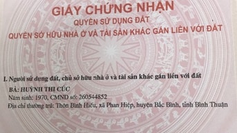 BÁN TRANG TRẠI Thanh Long ĐẸP TẠI KHU VỰC ĐỘNG CÁT, XÃ PHAN HIỆP,