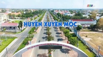 Lô đất 5000m2, đường nhựa 10m2, Xuyên Mộc, Bà Rịa