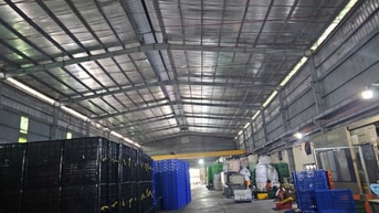 Cho thuê kho xưởng KCN Đức Hòa , Long An,KV : 6.000m2, Xưởng : 4.100m2