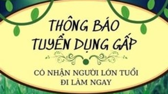 Việc làm Tết 2025 tại TP.HCM Mới Nhất, Đi làm ngay -☎️