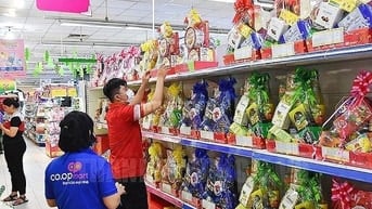 Coopmart cần Tuyển gấp NV Thu Ngân, Bán Hàng, Trực Quầy, Tạp Vụ, Kho