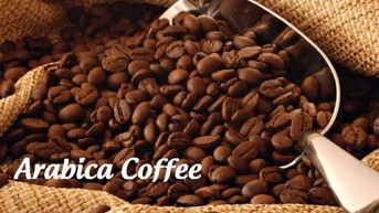 Cà phê Arabica rang xay tại chỗ