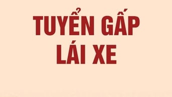 Tuyển lái xe làm việc tại Phú Quốc, lương cao