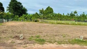 Cần bán lô đất ngay gần Chợ Lộc Hưng - Thị Xã Trảng Bàng