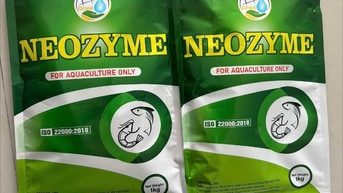 Enzyme tẩy nhớt bạt, giảm tảo, xử lý nước ao nuôi​ - NEOZYME