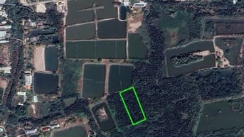 Đất Lúa, 2000m2, 1 tỷ 3 Trọn sổ, Xã Hiệp Phước