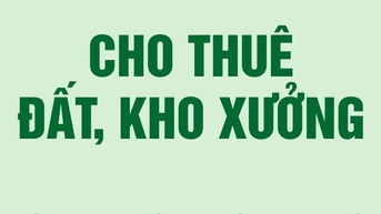 Cho thuê hoặc bán đất hẻm xe tải Đường Hương Lộ 80, Quận Bình Tân