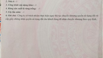 Bán đất An Phú An Khánh Quận 2 cũ khu A đường số 9A TP Thủ Đức 100m2