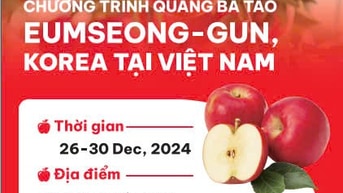 CHƯƠNG TRÌNH QUẢNG BÁ TÁO EUMSEONG - GUN KOREA TẠI VIỆT NAM