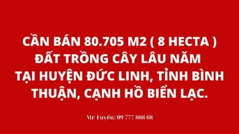 Cần bán 80.705 m2 (8 hecta) đất trồng cây lâu năm, tại huyện Đức Linh