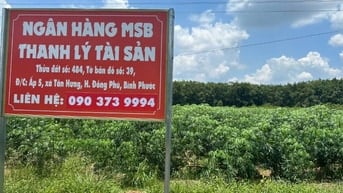 CÔNG TY ĐẤU GIÁ HỢP DANH MINH PHÁP THÔNG BÁO ĐẤU GIÁ TÀI SẢN