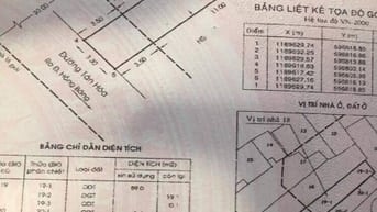 Bán nhà MT Tân Hóa Phường 1 Quận 11 giá 10 tỷ - 60,4m2