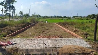 Bán đất nhà xưởng KCN Long Hậu, Long An , dt : 5.000m2 đến 50.000m2