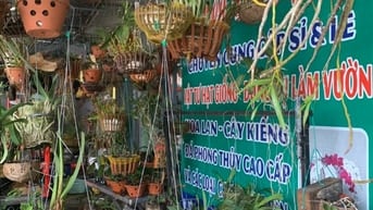 SANG CỬA HÀNG VẬT TƯ HOA LAN CÂY CẢNH, CHẬU, VA PHU KIỆN 