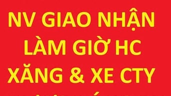 Tuyển 3 NV giao nhận, làm giờ hành chính, Xăng & xe của Công ty