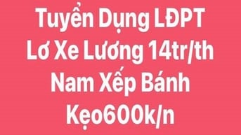 Tuyển Gấp LĐPT Xếp Bánh Kẹo Lương 600k/ngày Lơ Xe Tải Nhẹ 14tr/ Tháng