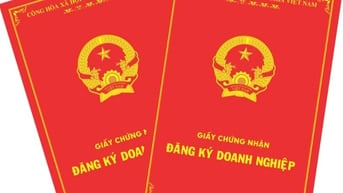 Đăng ký kinh doanh, Báo cáo thuế