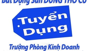 Tuyển Dụng Trưởng Phòng Kinh Doanh Hệ Thống Môi Giới BĐS tại Sài Gòn