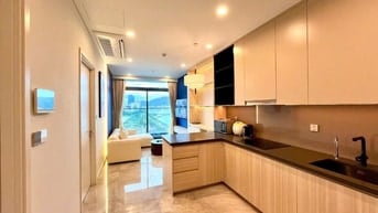 Cho thuê căn hộ chung cư cao cấp 45m2 1 khách 1 ngủ The Filmore