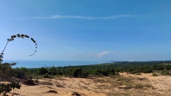 Sở hữu 25389m2 chỉ 4.5tỷ đất view biển, quạt gió tại Phan Rí Thành