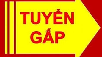 Cần tuyển tài xế 4 hoặc 7 chỗ, rành đường, có kinh nghiệm