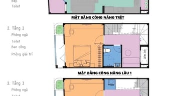 Thi công xây dựng mới và cải tạo        