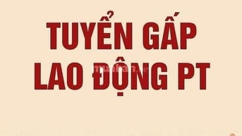 Cần tuyển gấp lao động phổ thông