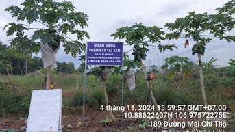 Công ty Đấu giá hợp danh Lam Sơn Sài Gòn THÔNG BÁO ĐẤU GIÁ TÀI SẢN