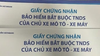 Bảo hiểm Vietinbank Đông Đô thông báo mất ấn chỉ năm 2024 lần 3