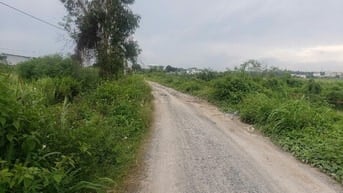 BÁN ĐẤT ĐƯỜNG XUÂN THỚI SƠN 8, HUYỆN HÓC MÔN, 849.8 M2